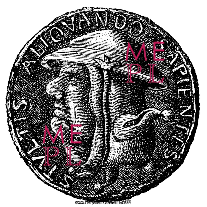 : Germany, satirical medal, reverse, double-face of cardinal a : Germany, satirical medal, reverse, double-face of cardinal a