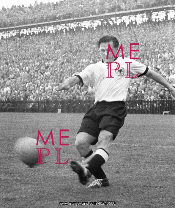 : Germany is world champion 1954 : Germany is world champion 1954