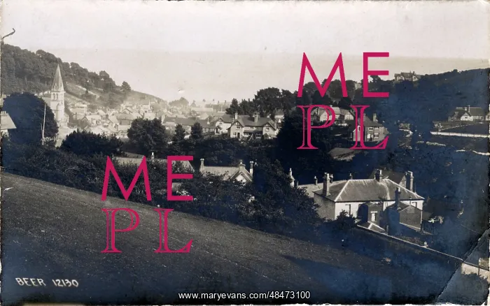 : Gerneral View of Village, Beer, England : Gerneral View of Village, Beer, England