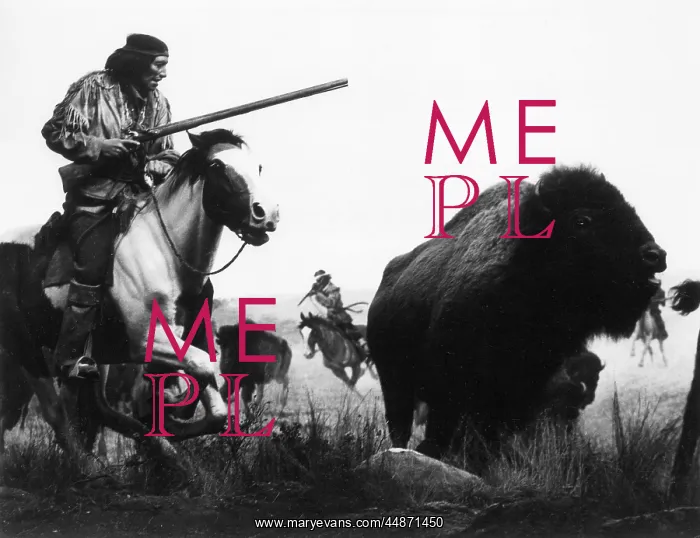 : GERONIMO HUNTING BUFFALO : GERONIMO HUNTING BUFFALO