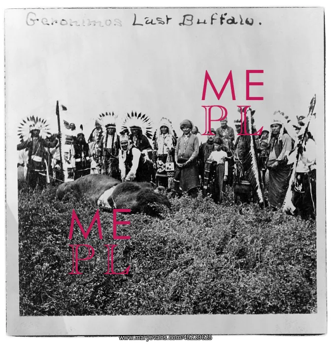: Geronimo's last buffalo. Geronimo standing ? : Geronimo's last buffalo. Geronimo standing ?