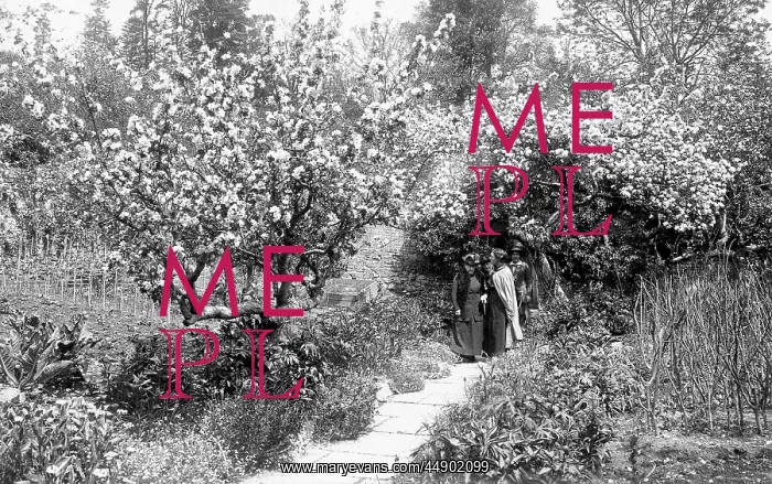 : Gertrude Jekyll : Gertrude Jekyll