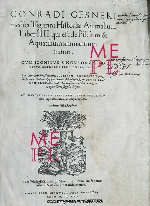 : GESSNER, Conrad (1516-1565) : GESSNER, Conrad (1516-1565)