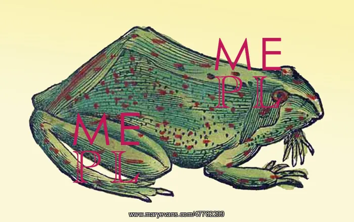 : Gessner, Frog, 16th Century : Gessner, Frog, 16th Century