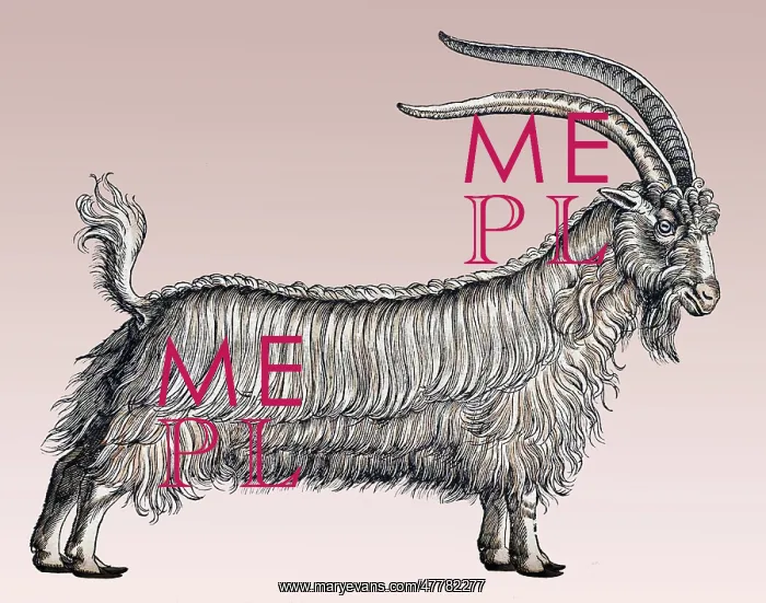 : Gessner, Goat, 16th Century : Gessner, Goat, 16th Century