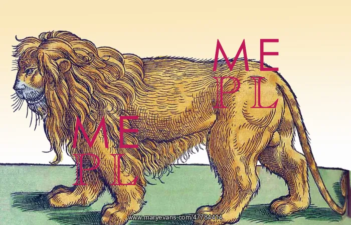 : Gessner, Lion, 16th Century : Gessner, Lion, 16th Century