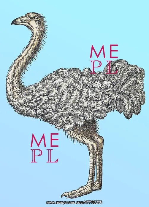 : Gessner, Ostrich, 16th Century : Gessner, Ostrich, 16th Century