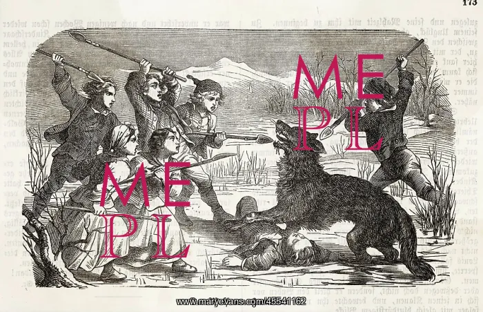 : Gevaudan Beast Attacked : Gevaudan Beast Attacked