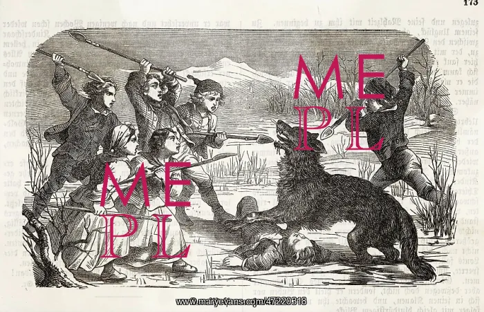 : Gevaudan Beast Attacked : Gevaudan Beast Attacked