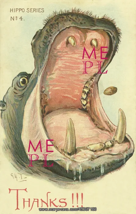  : Hippo. Thanks!!! Illustrated comic postcard of a hippo catching a bun