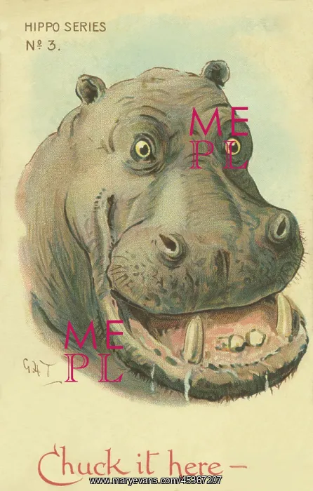 : Hippo. Chuck it here Illustrated comic postcard of a hippo with open mouth : Hippo. Chuck it here Illustrated comic postcard of a hippo with open mouth