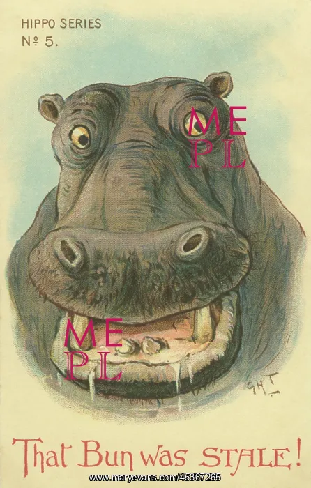 : Hippo. That bun was stale! Illustrated comic postcard of angry hippo : Hippo. That bun was stale! Illustrated comic postcard of angry hippo
