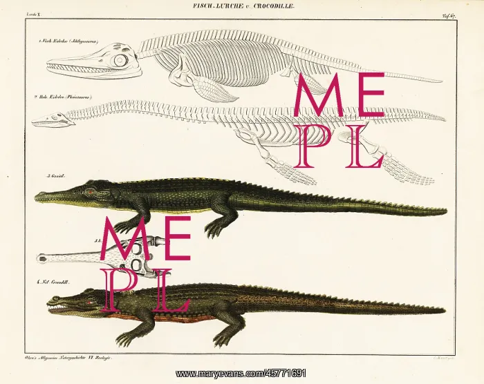 : Gharial, crocodile and extinct dinosaurs : Gharial, crocodile and extinct dinosaurs