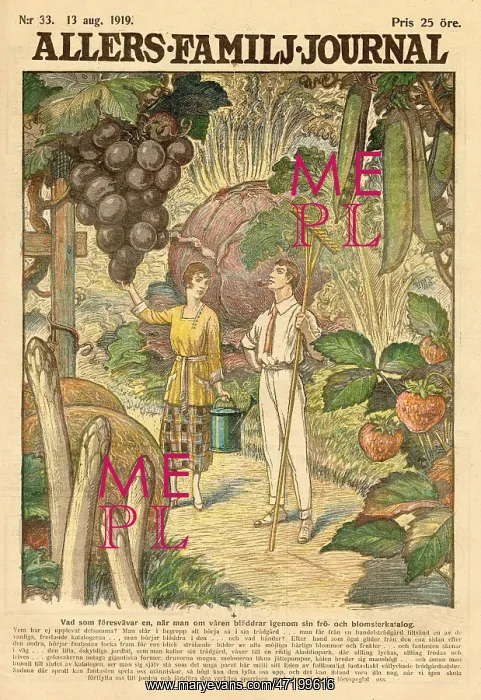 : GIANT FRUIT : GIANT FRUIT