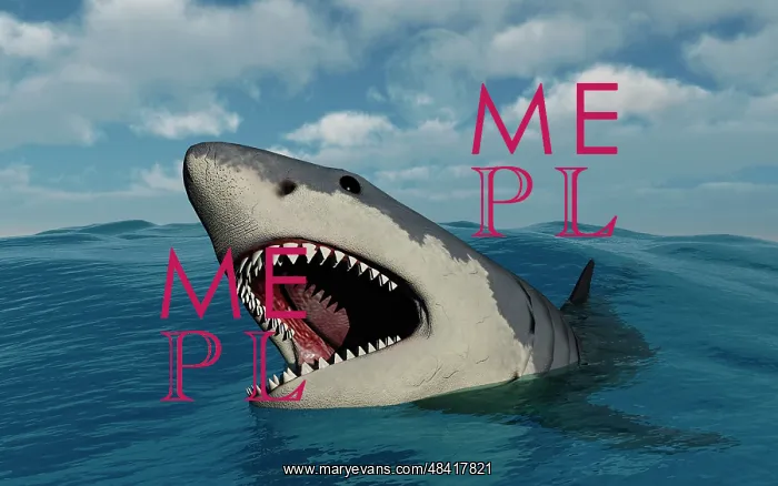 : A giant Megalodon shark : A giant Megalodon shark