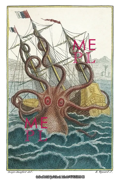 : Giant octopus : Giant octopus