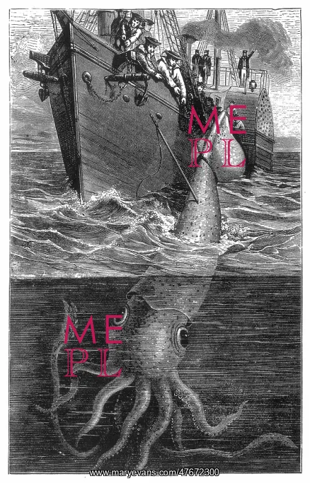 : Giant Squid Attacking Ship, 1893 : Giant Squid Attacking Ship, 1893