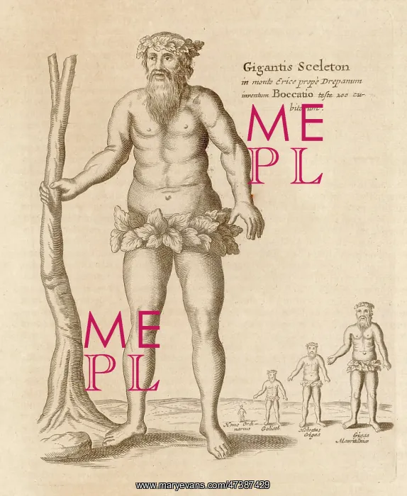 : GIANT OF TRAPANI : GIANT OF TRAPANI