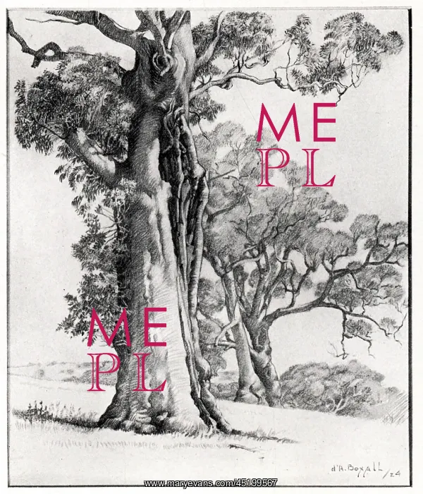 : Giant Trees : Giant Trees
