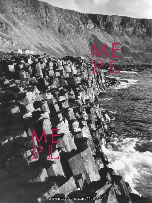 : THE GIANT'S CAUSEWAY : THE GIANT'S CAUSEWAY