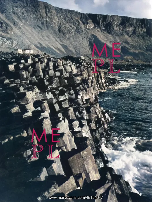 : THE GIANT'S CAUSEWAY : THE GIANT'S CAUSEWAY