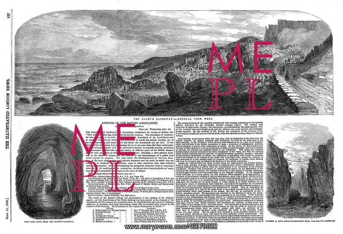 : The Giant's Causeway : The Giant's Causeway