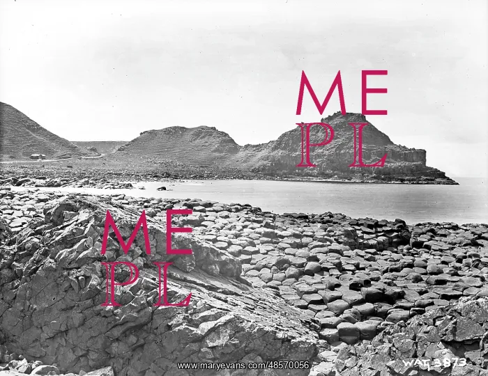 : The Giant's Causeway : The Giant's Causeway