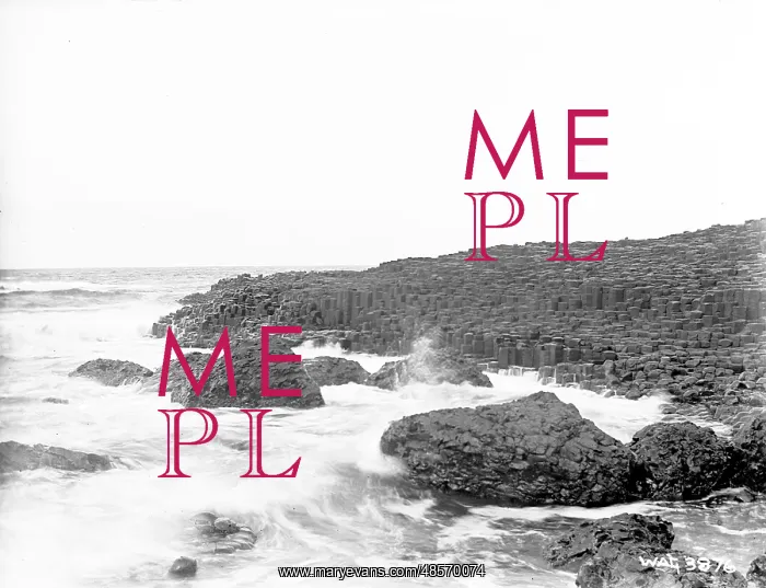 : The Giant's Causeway : The Giant's Causeway