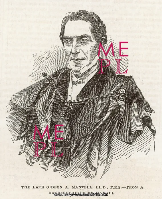 : GIDEON MANTELL : GIDEON MANTELL