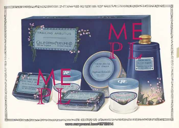 : Gift box of Trailing Arbutus brand cosmetics from CPC, 1927 : Gift box of Trailing Arbutus brand cosmetics from CPC, 1927