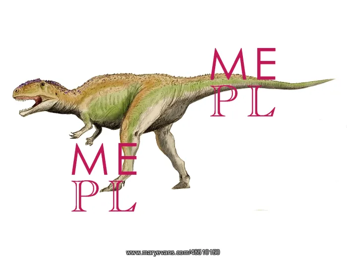 : Giganotosaurus dinosaur : Giganotosaurus dinosaur