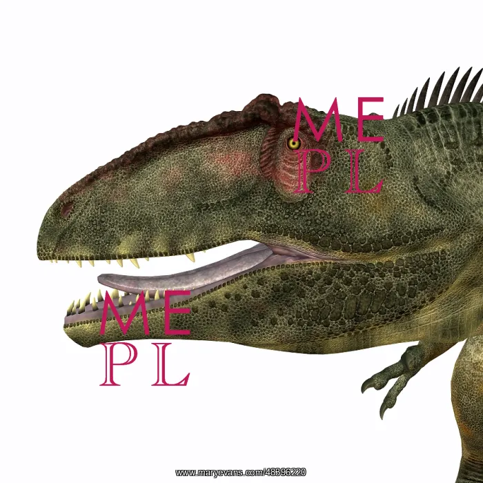 : Giganotosaurus dinosaur head : Giganotosaurus dinosaur head