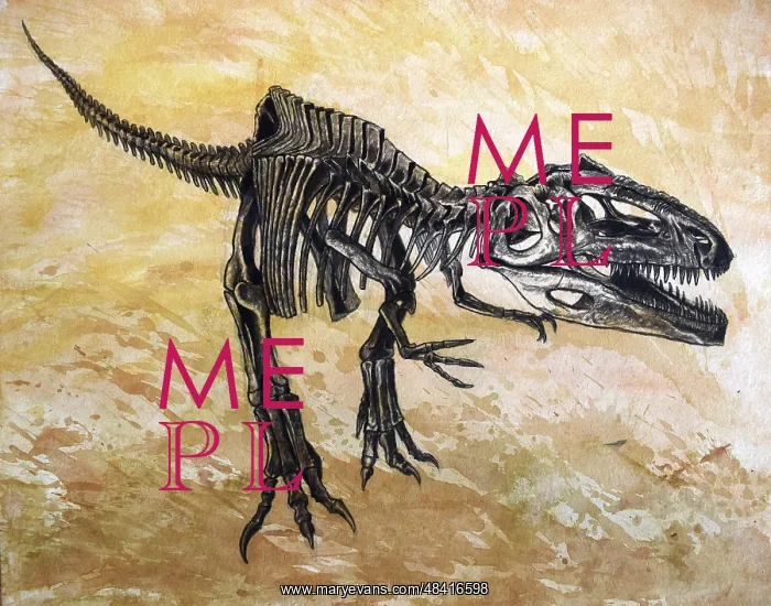 : Giganotosaurus dinosaur skeleton : Giganotosaurus dinosaur skeleton