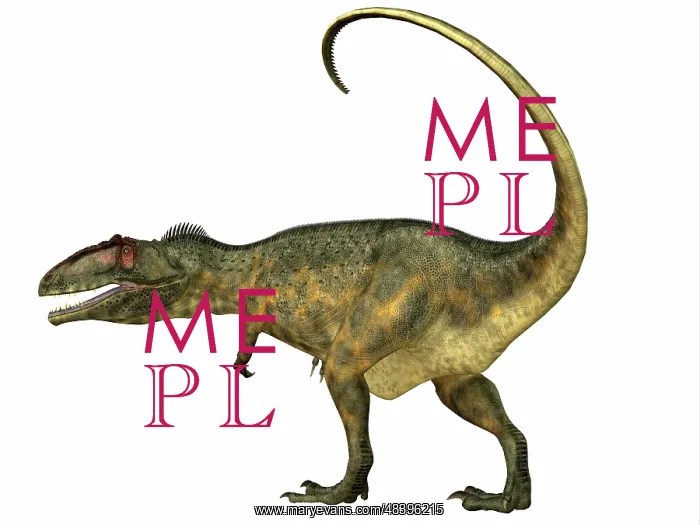 : Giganotosaurus dinosaur, side view : Giganotosaurus dinosaur, side view