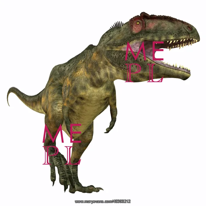 : Giganotosaurus dinosaur, white background : Giganotosaurus dinosaur, white background