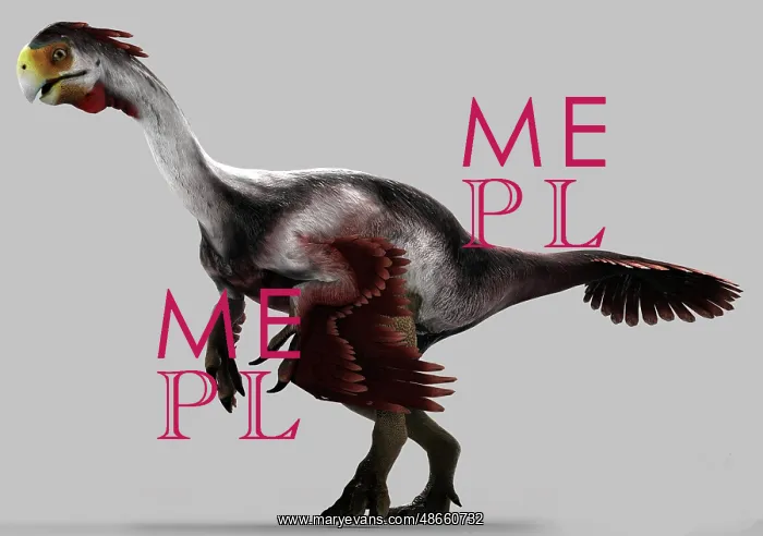 : Gigantoraptor dinosaur on gray background : Gigantoraptor dinosaur on gray background