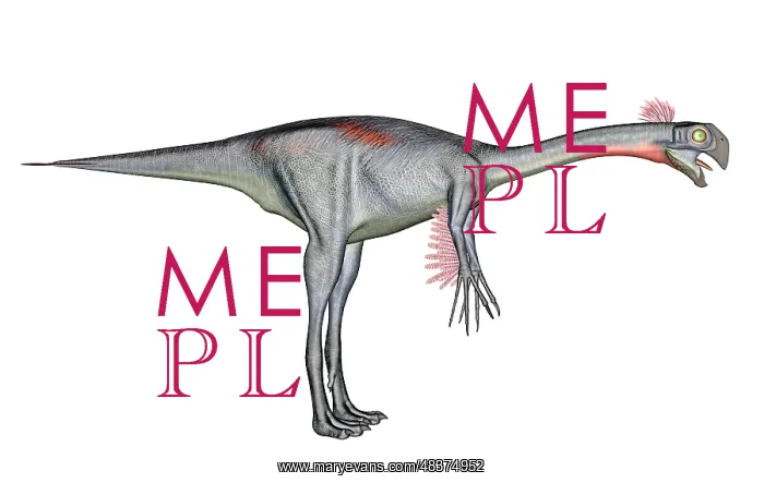 : Gigantoraptor dinosaur, white background : Gigantoraptor dinosaur, white background
