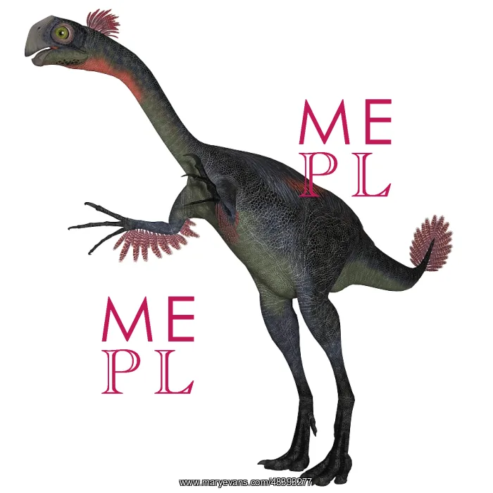 : Gigantoraptor dinosaur on white background : Gigantoraptor dinosaur on white background