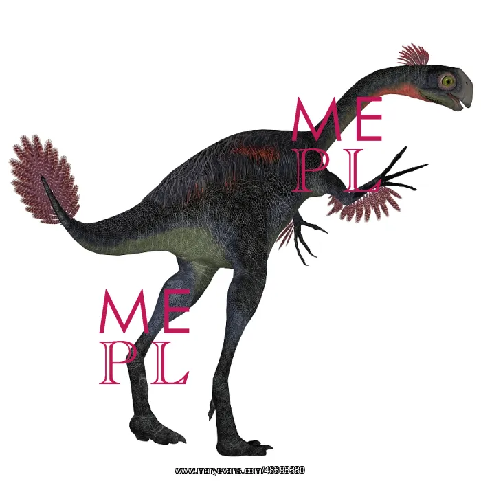 : Gigantoraptor dinosaur on white background : Gigantoraptor dinosaur on white background