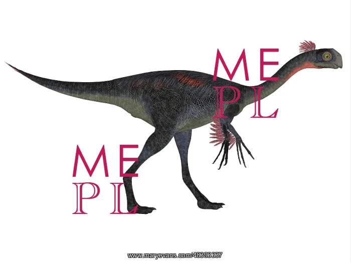 : Gigantoraptor dinosaur on white background : Gigantoraptor dinosaur on white background