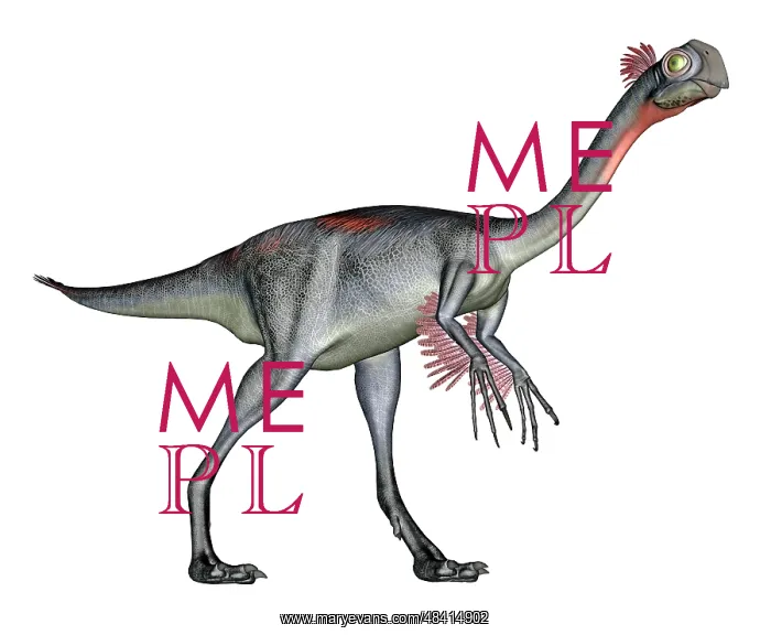 : Gigantoraptor dinosaur, white background : Gigantoraptor dinosaur, white background