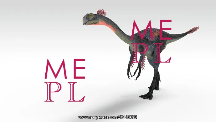 : Gigantoraptor dinosaur, white background : Gigantoraptor dinosaur, white background