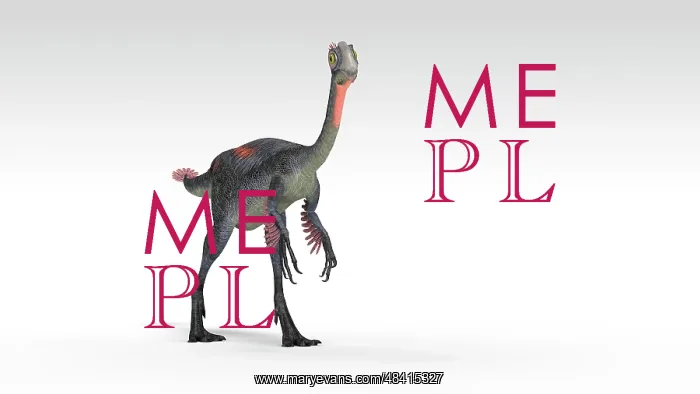 : Gigantoraptor dinosaur, white background : Gigantoraptor dinosaur, white background