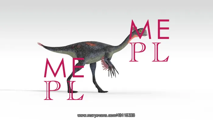 : Gigantoraptor dinosaur, white background : Gigantoraptor dinosaur, white background