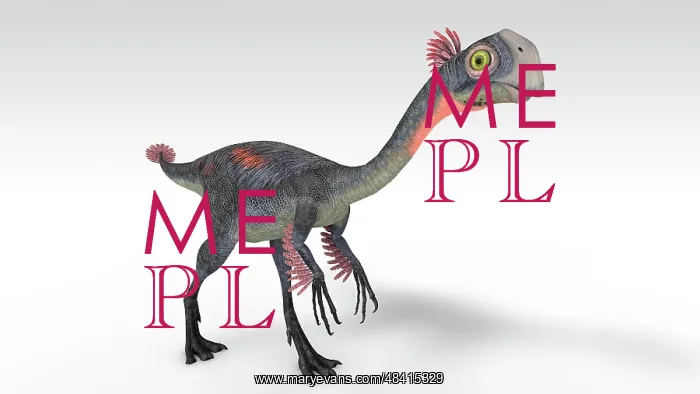 : Gigantoraptor dinosaur, white background : Gigantoraptor dinosaur, white background