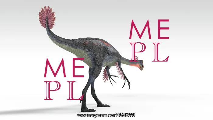 : Gigantoraptor dinosaur, white background : Gigantoraptor dinosaur, white background