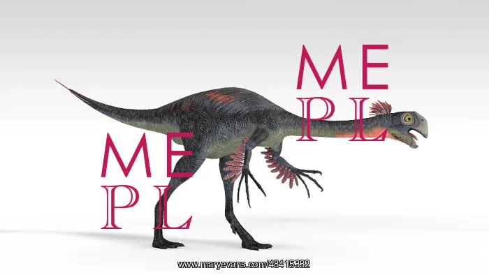: Gigantoraptor dinosaur, white background : Gigantoraptor dinosaur, white background