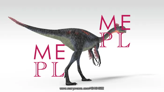 : Gigantoraptor dinosaur, white background : Gigantoraptor dinosaur, white background