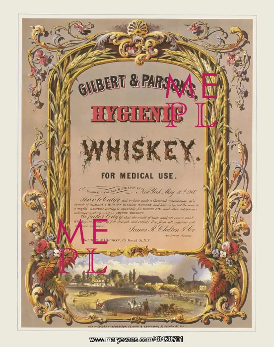 : Gilbert & Parsons hygienic whiskey : Gilbert & Parsons hygienic whiskey