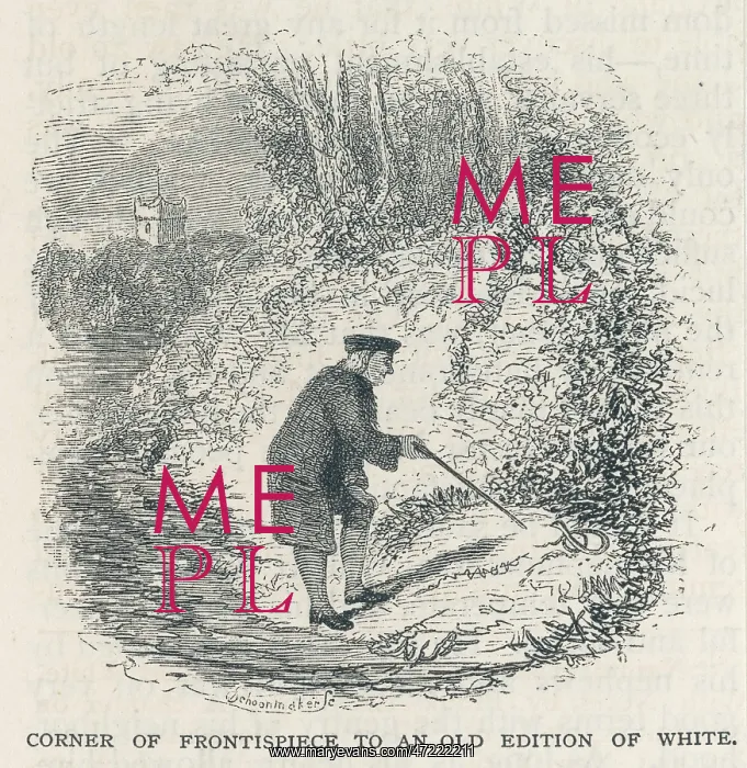  : Gilbert White of Selborn